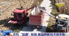 良法、良机护航正在郊野好“丰”光里看农业成