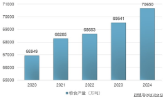2025-2030年中国粮食物风行业成长前景取投资预测